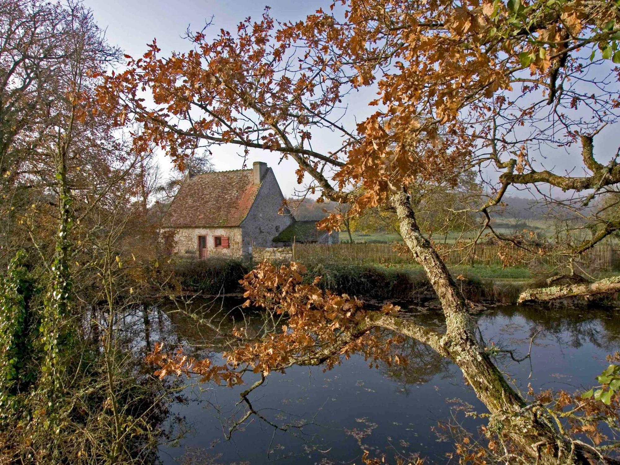 Sejour Nature Au Coeur Du Parc De La Brenne: Gite 4 Chambres, Jardin Et Terrasse, Proche De Rosnay - Fr-1-591-141 Buitenkant foto